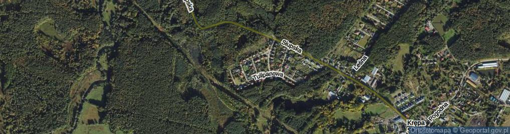 Zdjęcie satelitarne Sasankowa ul.